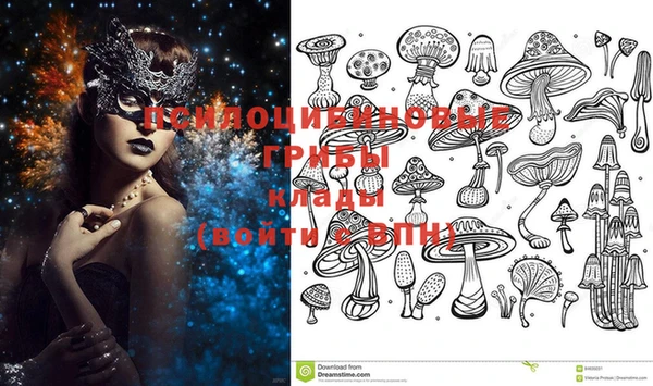 кокс Зерноград