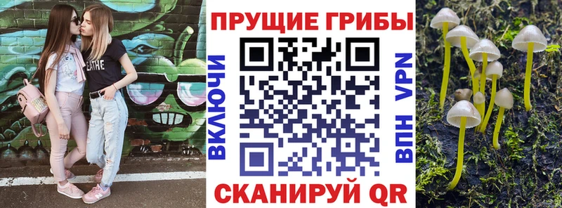 Галлюциногенные грибы Psilocybe  Купить  Карабулак 